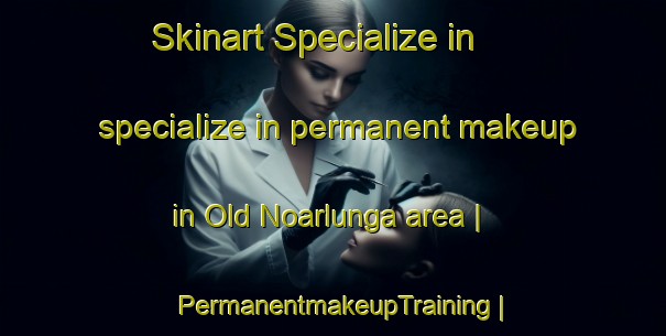 Skinart Specialize in specialize in permanent makeup in Old Noarlunga area | PermanentmakeupTraining | PermanentmakeupClasses | SkinartTraining-Australia